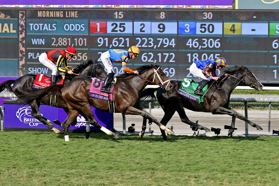 南宫体育赛马赛道连赢投注分析